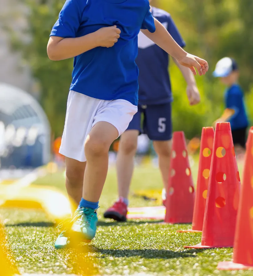 sports primary school ppa cover